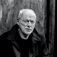 concert David Gilmour