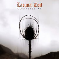concert Lacuna Coil