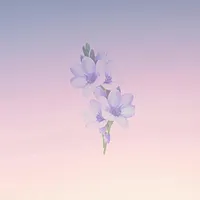 Bliss Looper