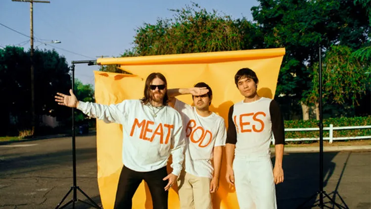 Meatbodies