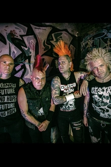 THE CASUALTIES