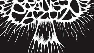 ORANSSI PAZUZU