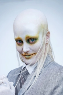 FEVER RAY