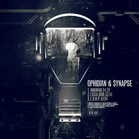 Synapse