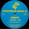 Amnaye