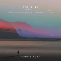 soirée Cesko