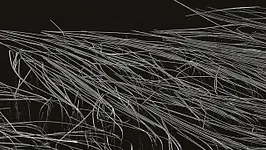 XTRUDE x Dissident w/ DJ Stingray, Cleric, Nastya Vogan, Elli Acula, Sybil