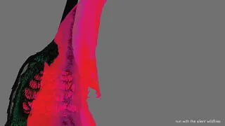 Raised By Swans - Live