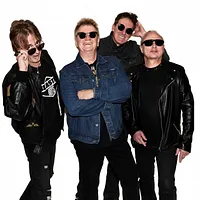 The Radiators