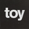 Toy