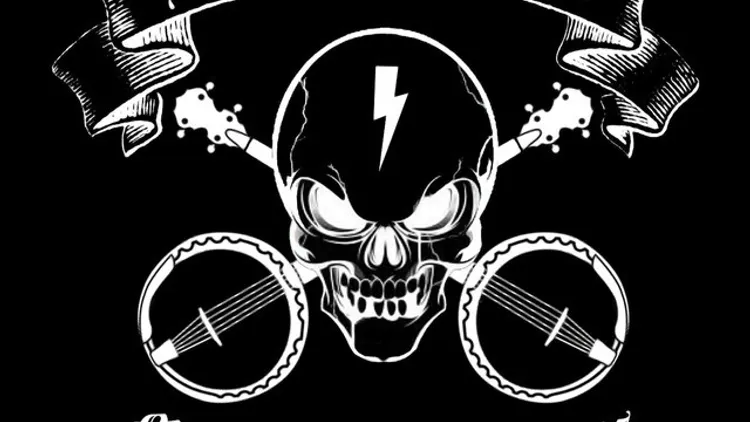 Hayseed Dixie