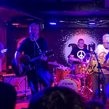 The Orchids