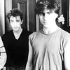 The Chameleons