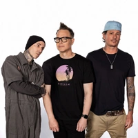 concert blink-182