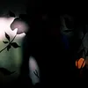 Clara 3000