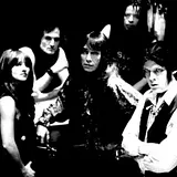 The Fuzztones