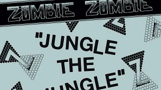 Zombie Zombie + 1 ère partie