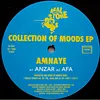 Amnaye