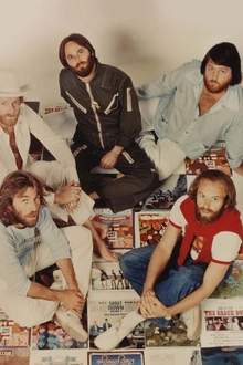 THE BEACH BOYS