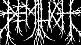 Demilich