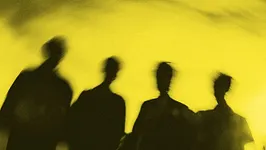 Lemonsuckr