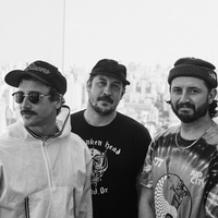 concert Portugal. The Man