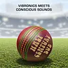 Conscious Sounds