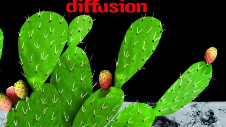 Gnawa Diffusion + Tiwiza — Interference