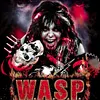W.A.S.P.