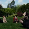 Pale Waves