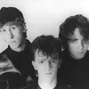 The Icicle Works