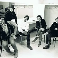 The 13th Floor Elevators