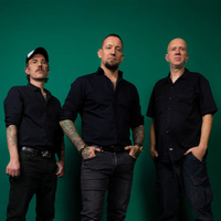 concert Volbeat