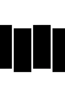 Black Flag + Guest