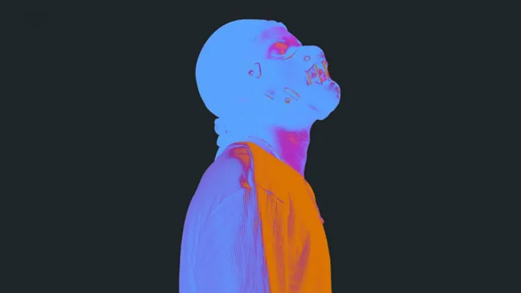 HALL OF FAME - By NØ TYPE