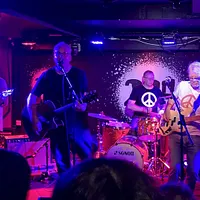 The Orchids