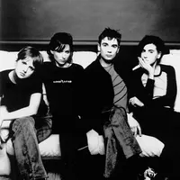 Elastica