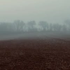 Headless Horseman