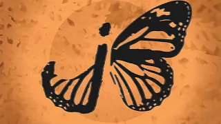 June Bug-tiger lion-fraser anderson