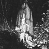 Varg²™