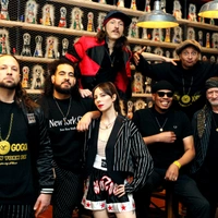 concert Gogol Bordello