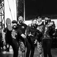 Zebrahead