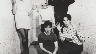 STEREOLAB