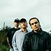 DMA's