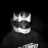 The Bloody Beetroots
