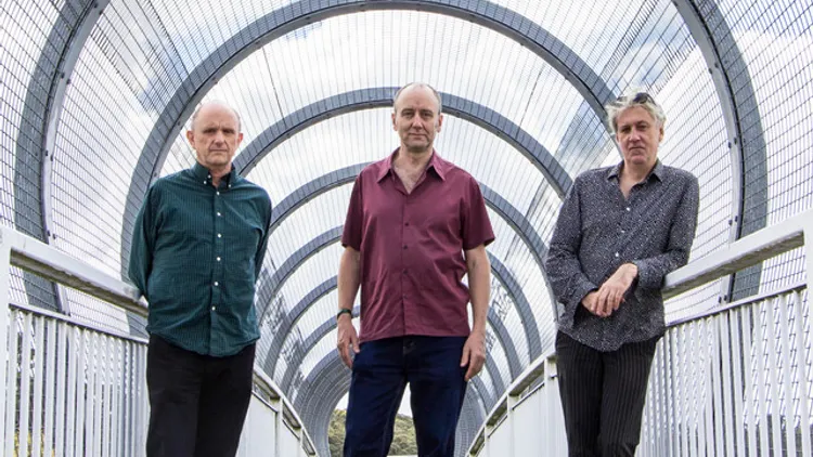 The Necks