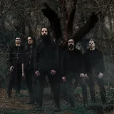 Shores Of Null
