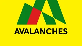 The Avalanches