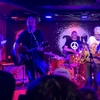 The Orchids