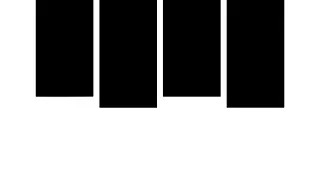 Black Flag + Guest 